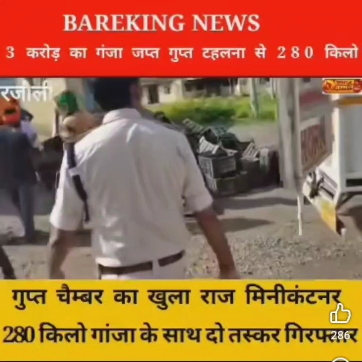 बिहार में उत्पाद विभाग ने 3 करोड़ रुपये मूल्य के गांजे की खेप बरामद की