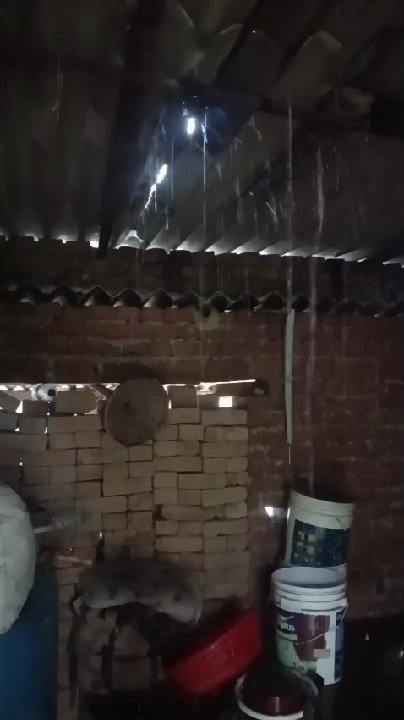 पाली क्षेत्र में आवास योजना से वंचित गरीब, टीनशेड में रहने को मजबूर