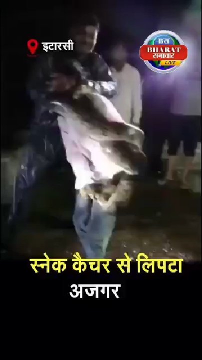 12 फीट के अजगर ने अमरपाटन में जकड़ी गर्दन