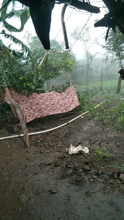 बांसवाड़ा में जोरदार बारिश, तूफान से हर जगह गिरेगी