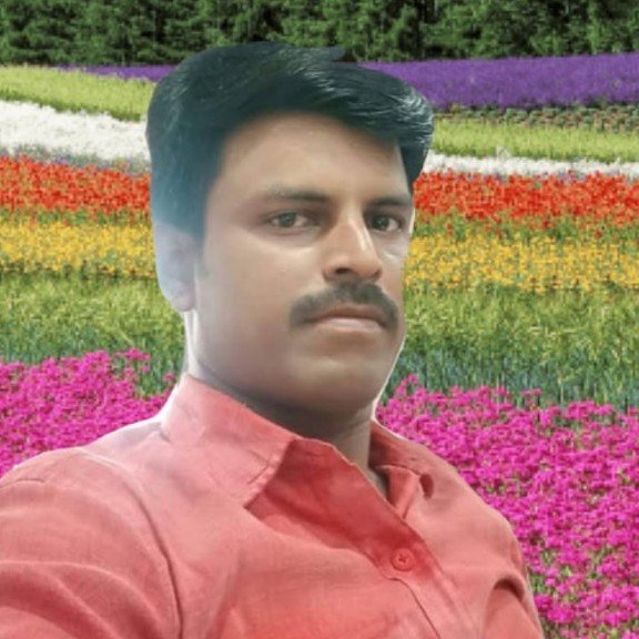 P TOP BIHAR