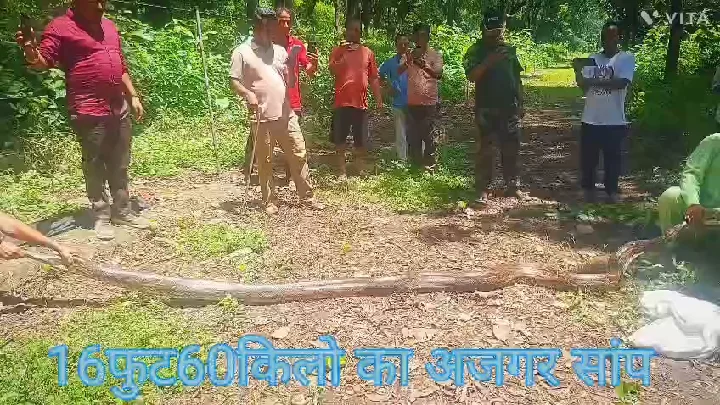 जौलीग्रांट में अजगर के भय से मुक्त कराए लोग, सर्प मित्र ने किया रेस्क्यू