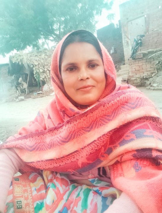 सांप के डसने से महिला की मौत, परिवार में मचा कोहराम