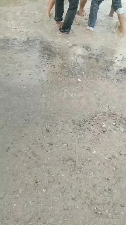 बिहारीगढ़ में खनन विवाद, दो पक्षों में हिंसा, वीडियो वायरल