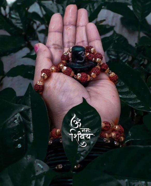 खोमेश्वर गुरुपंच
