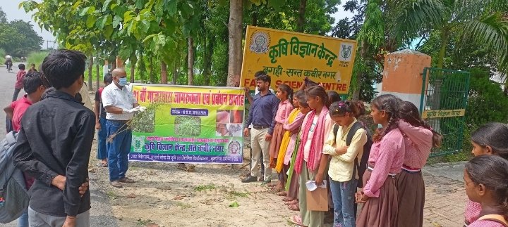 गाजर घास के खतरे और उन्मूलन पर जागरूकता सप्ताह संपन्न