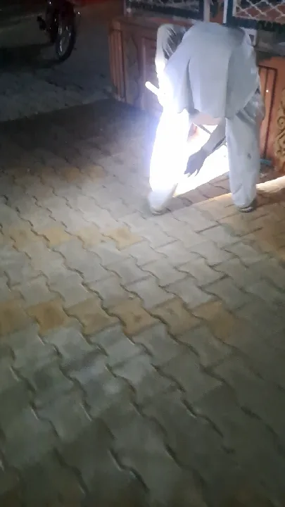 मंदिर के पास स्नैक बचाया गया