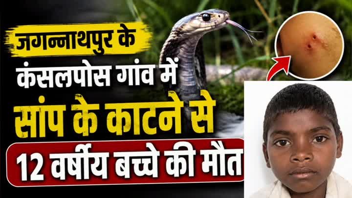 जगन्नाथपुर में सांप के काटने से 12 वर्षीय बच्चे की मौत