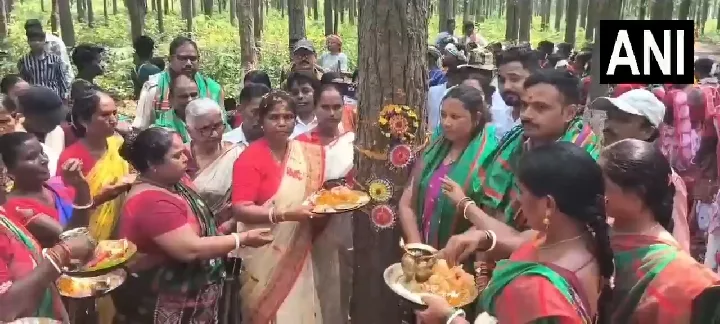 आदिवासी महिलाओं ने साल के पेड़ों को राखी बांधी, पर्यावरण संरक्षण का संकल्प