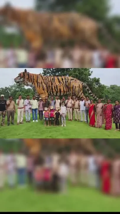 बाघ खवासा बफर में राखी का पर्व मनाया गया