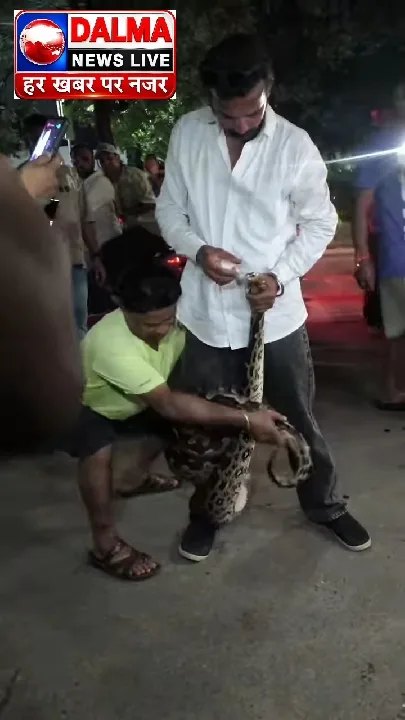 सोनारी एयरपोर्ट के पास अजगर ने युवक का पैर जकड़ा, मची अफरा-तफरी