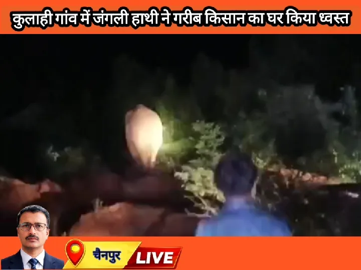 जंगली हाथी ने गरीब किसान का घर किया ध्वस्त