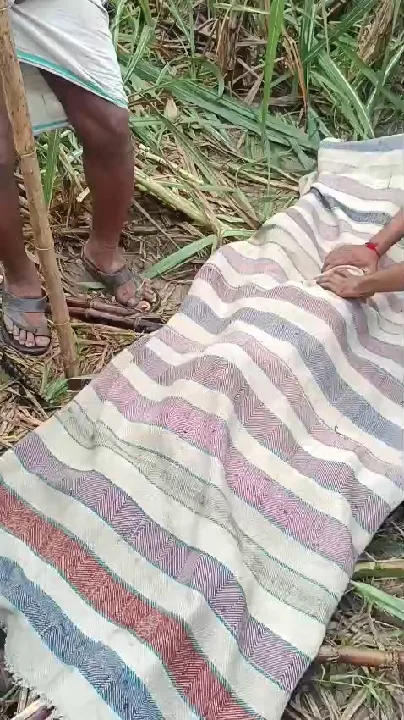 मुरादाबाद में तेंदुए का आतंक, बलिया गांव में किसान की मौत