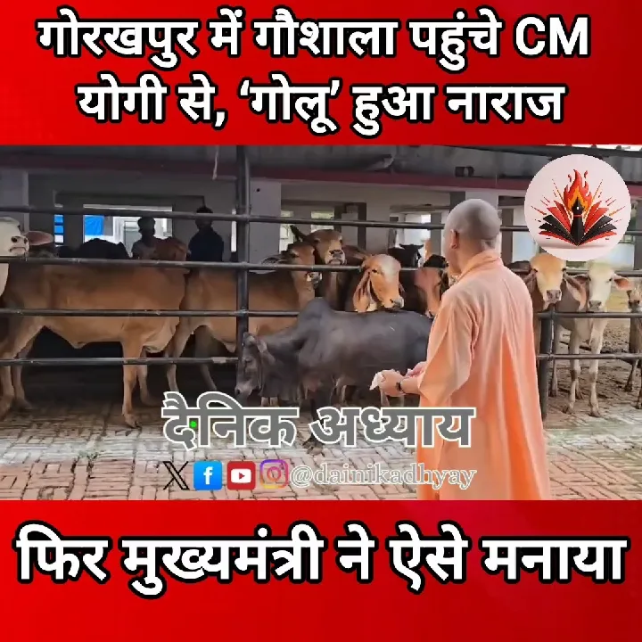 सीएम योगी ने गोशाला में मनाया खास पल, गोलू नाराज हुआ