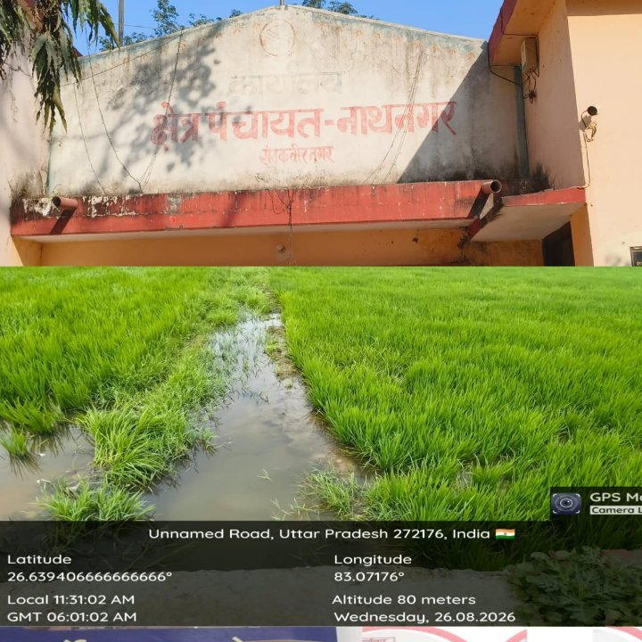 जयराम पट्टी में भ्रष्टाचार का जिन्न, कागजों में 153 मजदूर, सन्नाटा