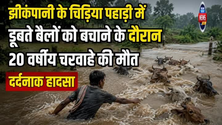 झींकपानी में हादसा, बैल बचाने के दौरान चरवाहे की मौत