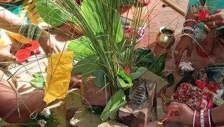 षष्ठी व्रत: माताओं ने संतान की दीर्घायु के लिए की कुश पूजा