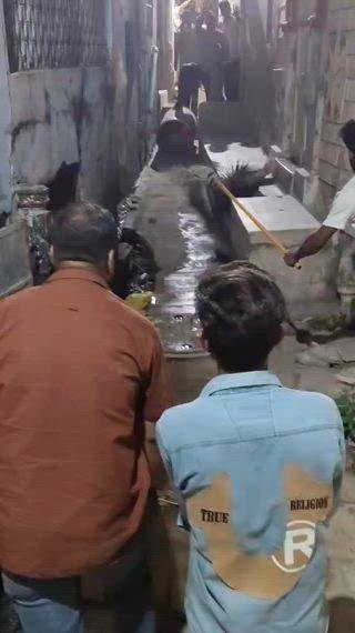 ब्रह्मपुरी में कांटों वाला जानवर पकड़ने की कोशिश