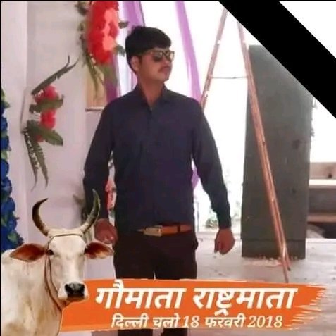 Akhlesh jain Reportar