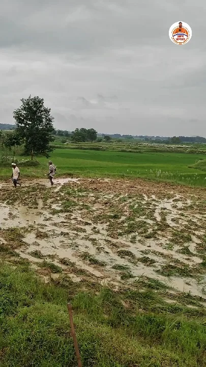 3 एकड़ 30 डिसमिल जमीन पर बड़ा विवाद