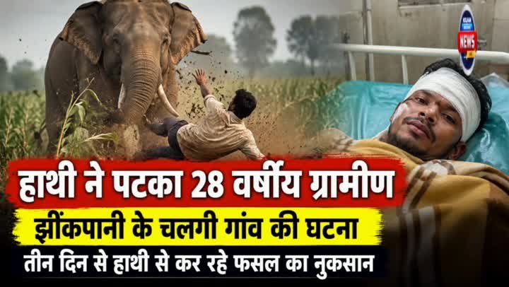 हाथी ने ग्रामीण को पटका, सदर अस्पताल में भर्ती