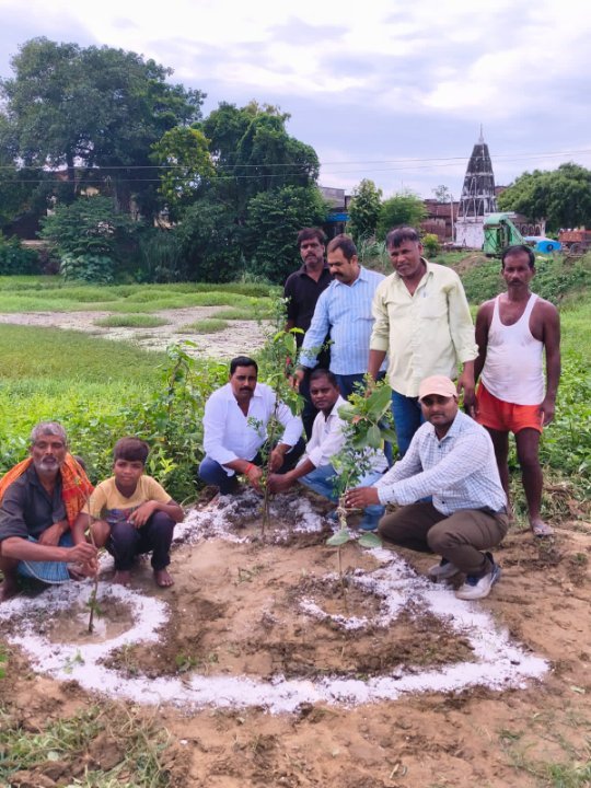 ग्राम पंचायत में हरि शंकरी पौधारोपण संपन्न, सुरक्षा का संकल्प