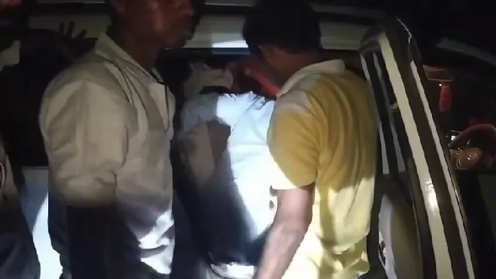 नरवर में शेर का हमला, युवक गंभीर रूप से घायल