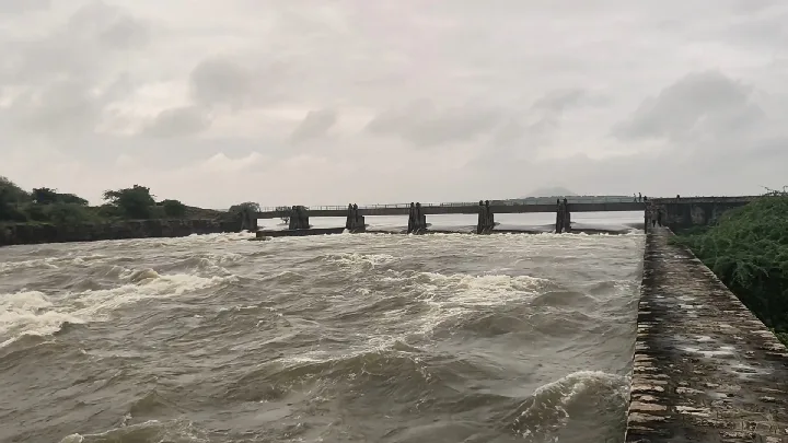 जौरा में बारिश से पगारा डैम के छह गेट खुले