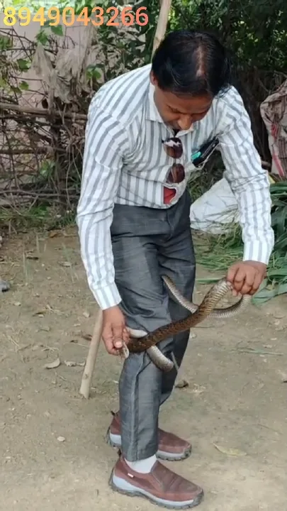पैर से लिपटी चीज ने बढ़ाई धड़कनें, आखिर क्या निकला?