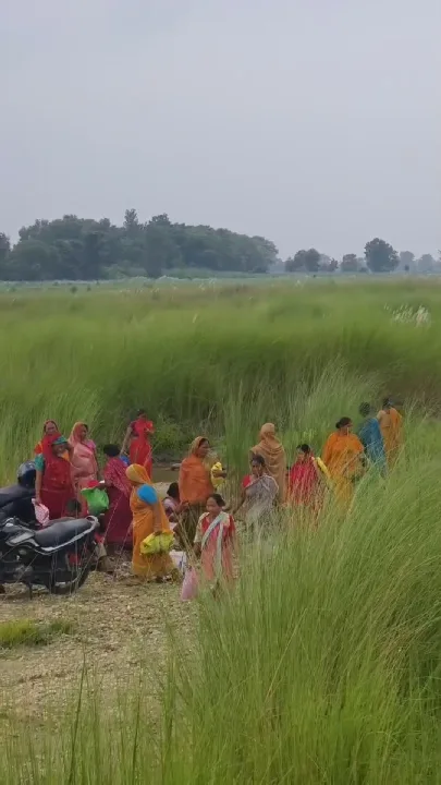 बाथरूम में जहरीला सांप निकला, बुजुर्ग की मौत; इलाज की जगह झाड़-फूंक