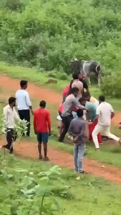 कटनी में घूमने गए युवाओं पर जानलेवा हमला, दो के हाथ टूटे