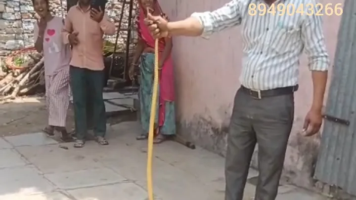 चित्तौड़गढ़ में तीन बड़ी घटनाएं: सांप बचाव, लोधा समाज का विरोध और सचिन पायलट का सेवा दिवस