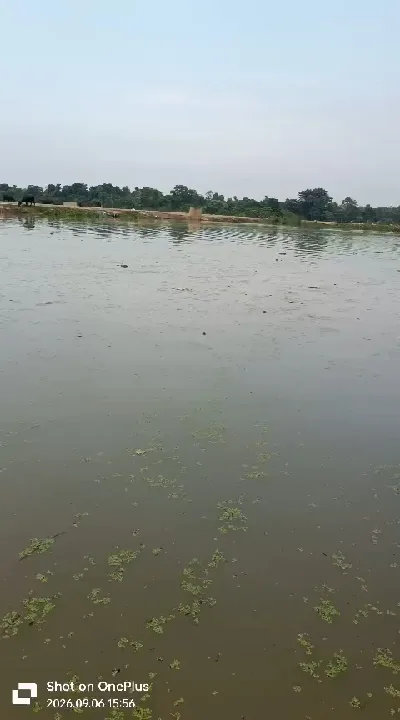अबजूगंज बाढ़ पीड़ितों की दुर्दशा, छतों पर भगवान भरोसे