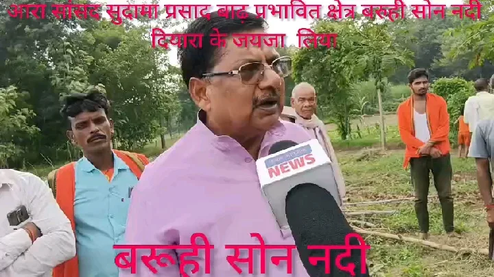 सोन नदी के कटाव से बरूही में तबाही, सांसद ने लिया जायजा