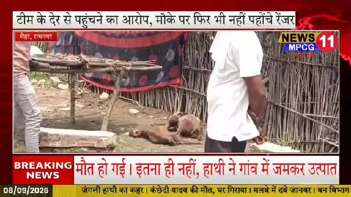 मैहर में जंगली हाथी का कहर, ग्रामीणों में आक्रोश