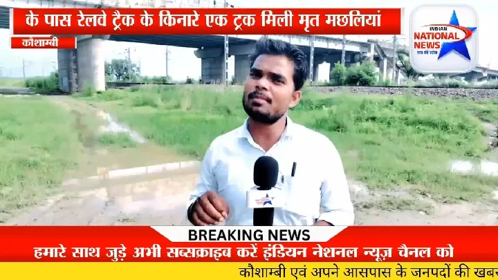 रोही में 20 कुंटल मृत मछलियों का फेंका जाना, जांच की मांग