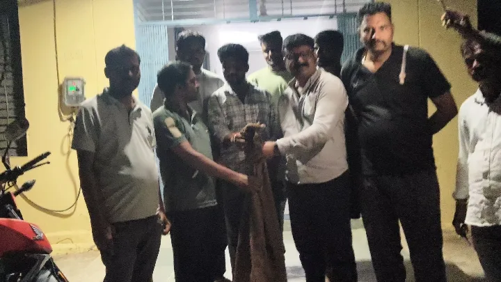 सीमलवाड़ा में 15 फीट लंबे अजगर का रेस्क्यू, दो युवाओं ने दिखाई बहादुरी