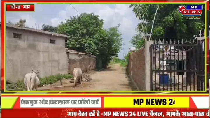 बीना पुलिस ने की बड़ी कार्रवाई, अवैध शराब के साथ दो गिरफ्तार