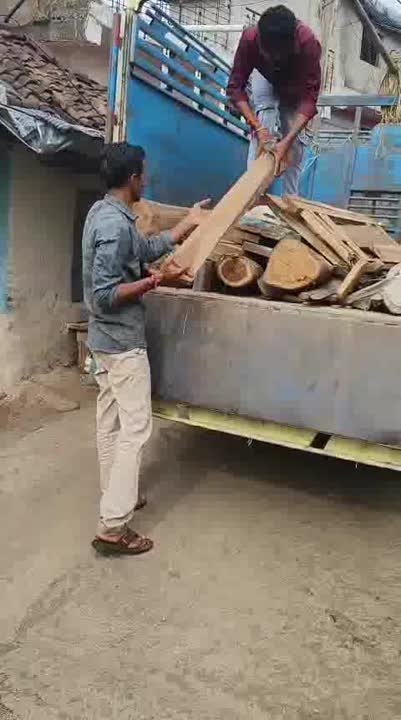 कोथलकुंड में वन विभाग की छापेमारी, सागौन की लकड़ी जब्त