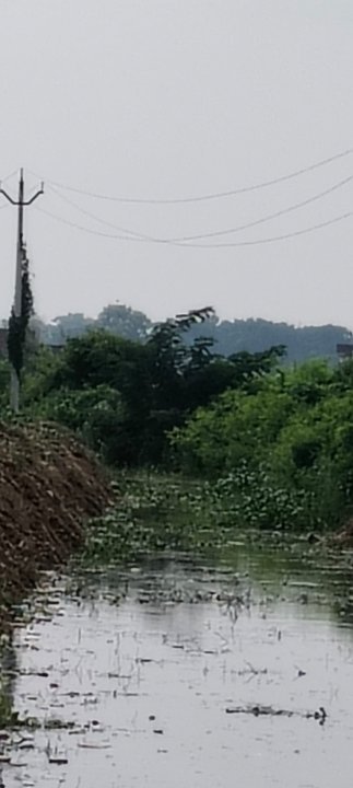 मंत्री के आगमन से पहले सफाई, किसानों ने पूछा पानी कब तक रहेगा