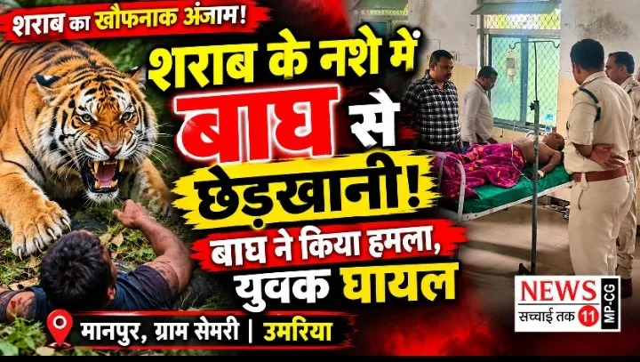 शराब के नशे में बाघ से छेड़छाड़, युवक घायल