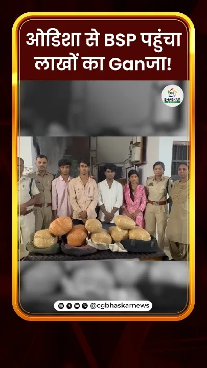 बिलासपुर में बड़ी कार्रवाई, लाखों का गांजा जब्त