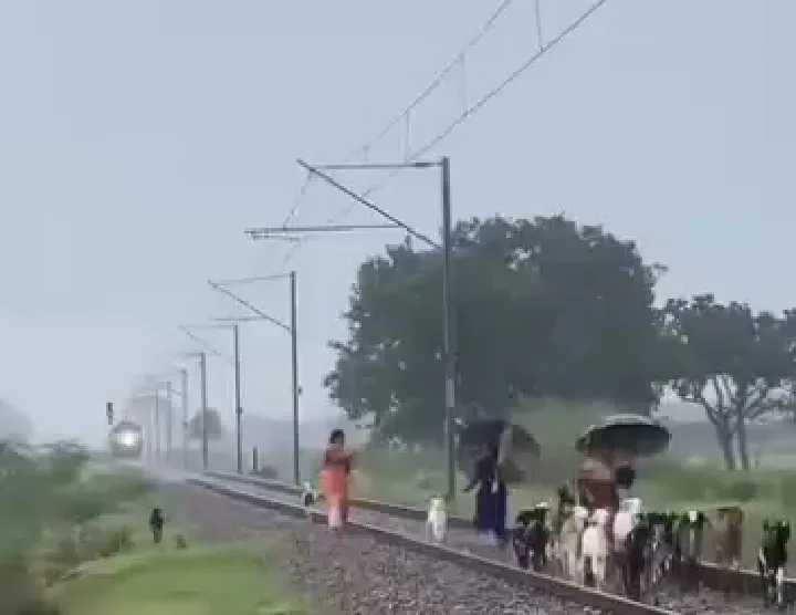 ड्राइवर की सूझबूझ से बचे चरवाहे, ट्रेन की चपेट में आईं बकरियां