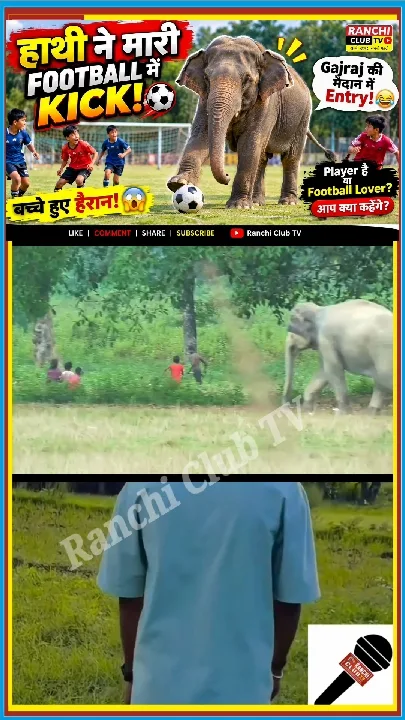 हाथी ने खेला Football! मैदान में गजराज की मस्ती