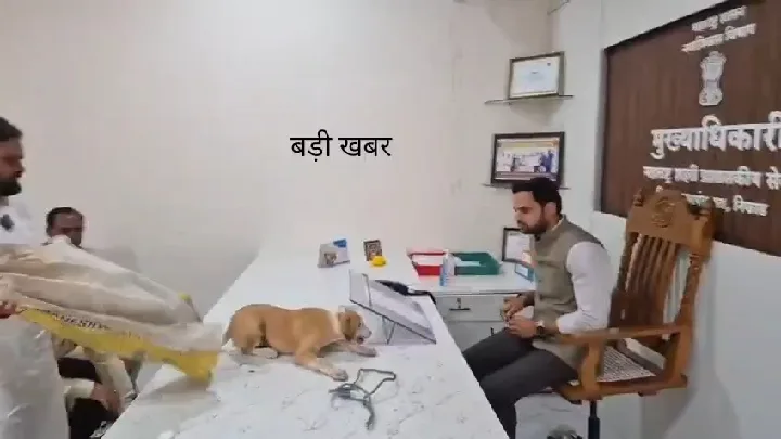 आवारा कुत्तों का विरोध, अधिकारी के केबिन में छोड़े कुत्ते