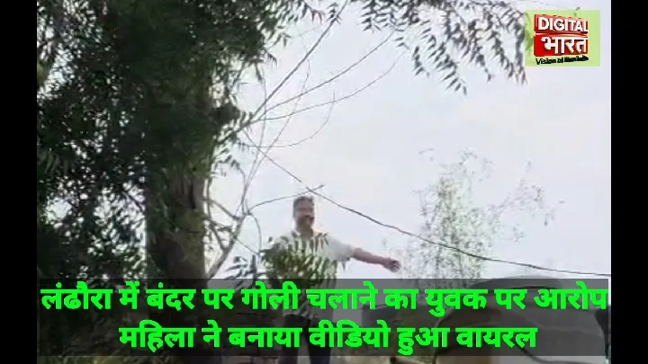 लंढौरा में बंदर पर गोली चलाने का आरोप, वायरल हुआ वीडियो