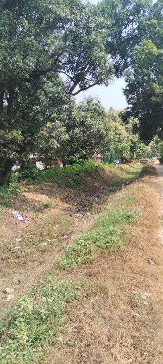 सरयू नहर में पानी की कमी, धान की फसल पर संकट