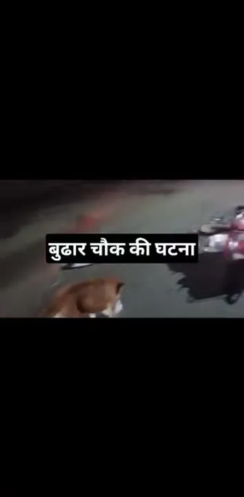 शहडोल में स्कूटी सवार महिला की एक्सीडेंट से मौत
