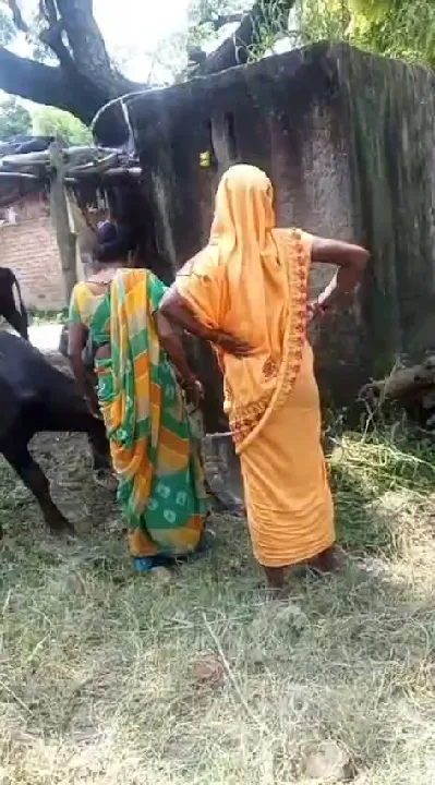 भैस बाँधने को लेकर देवरानी और जेठानी में मारपीट, वीडियो वायरल
