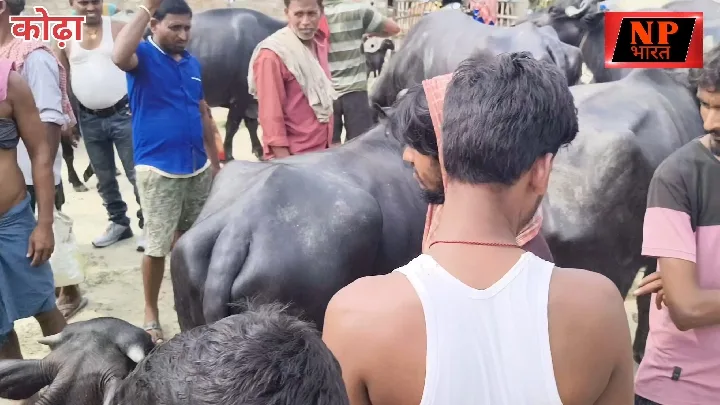 किसान पर लाठी-डंडे से हमला, मवेशियों से फसल नुकसान का विरोध
